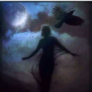 Meet your Posher, Barbee